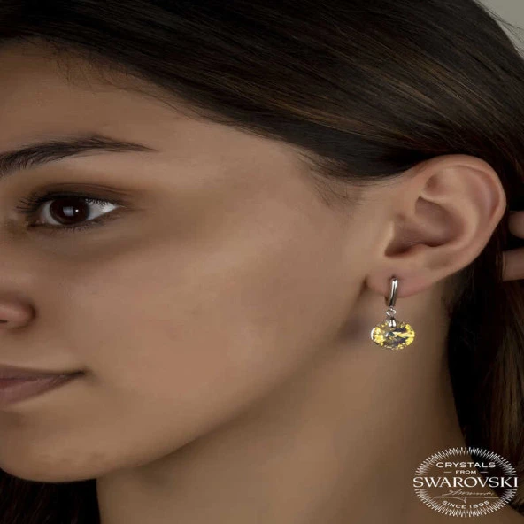 Swarovski Crystal Taşlı Gümüş Beyaz Sallantılı Kadın Küpe ürün görseli 1