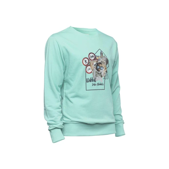 Biggdesign Nature Durak Erkek Sweatshirt - Resim 2