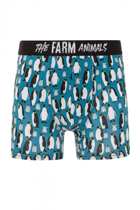 Farm Animals Penguins Desenli Boxer ürün görseli 1