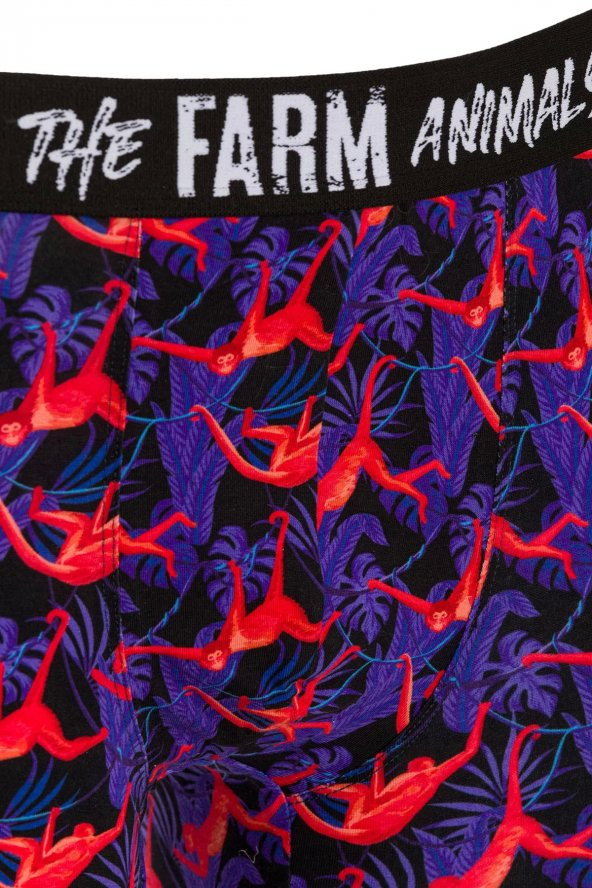 Farm Animals Red Monkey Desenli Boxer - Resim 3