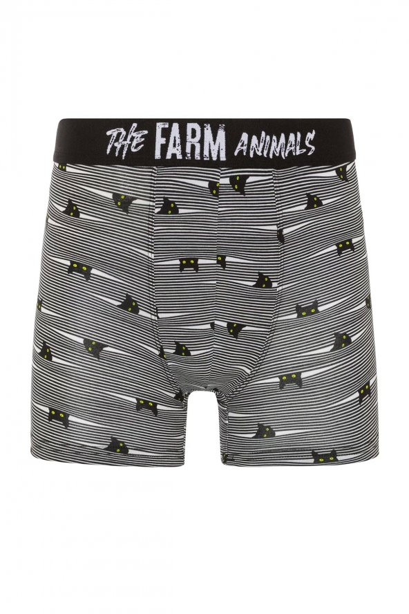 Farm Animals Yellow Eyed Hide N Cat Desenli Boxer ürün görseli 1