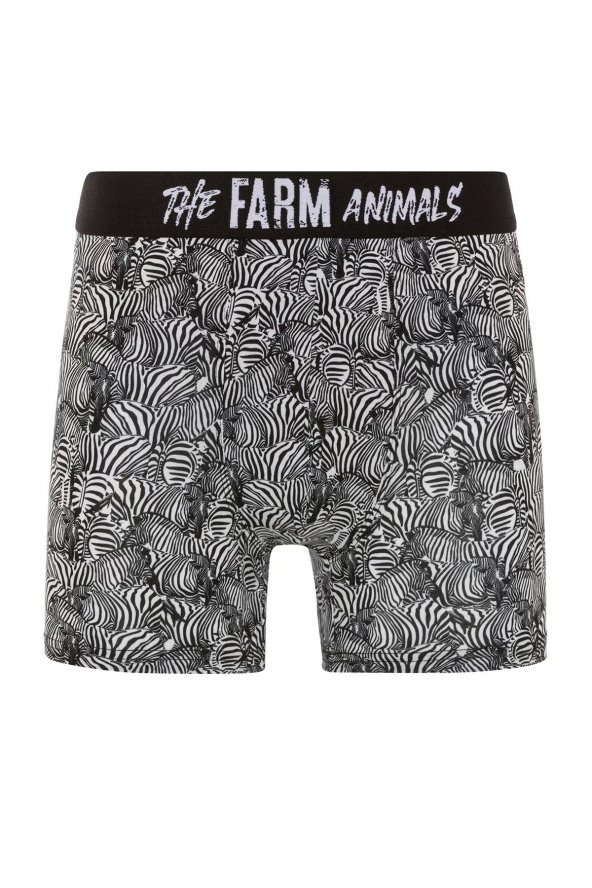 Farm Animals Zebra Desenli Boxer ürün görseli 1
