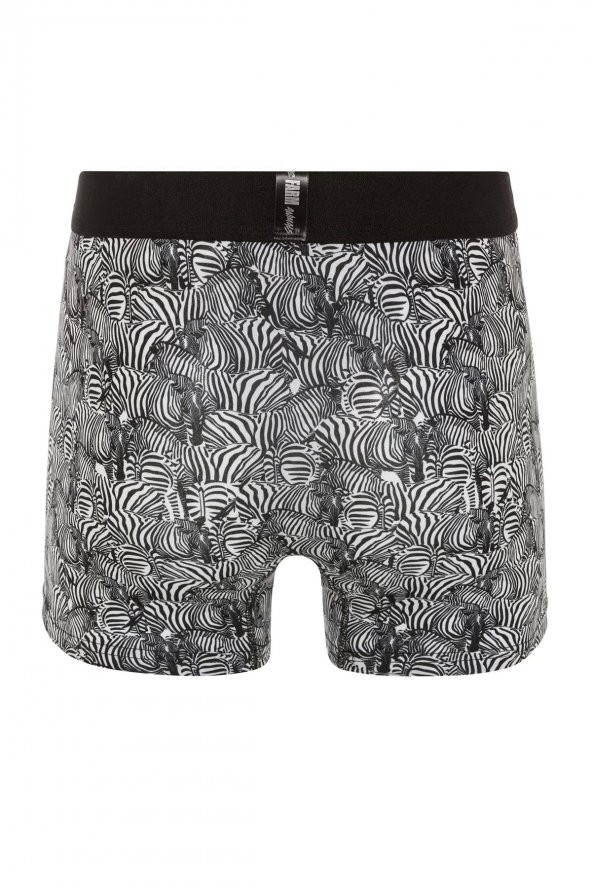 Farm Animals Zebra Desenli Boxer - Resim 2