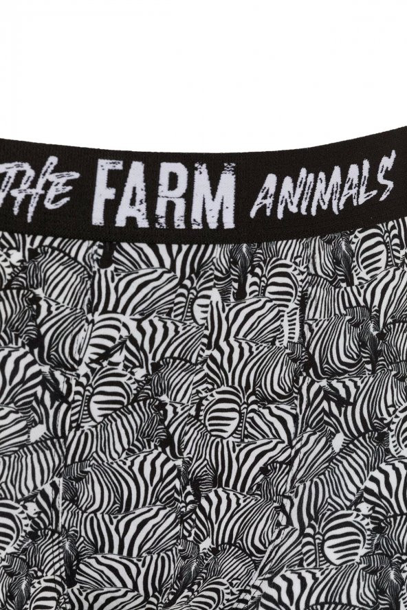 Farm Animals Zebra Desenli Boxer - Resim 3