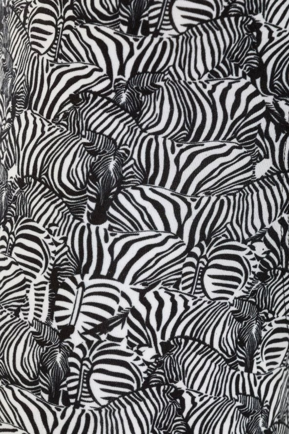 Farm Animals Zebra Desenli Boxer - Resim 4