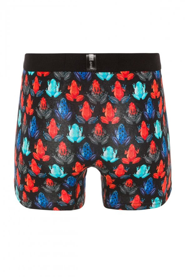 Farm Animals Frogs Desenli Boxer - Resim 2