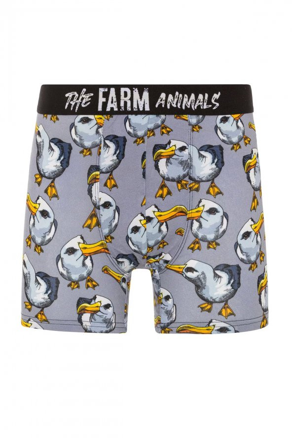 Farm Animals Seagull Desenli Boxer ürün görseli 1
