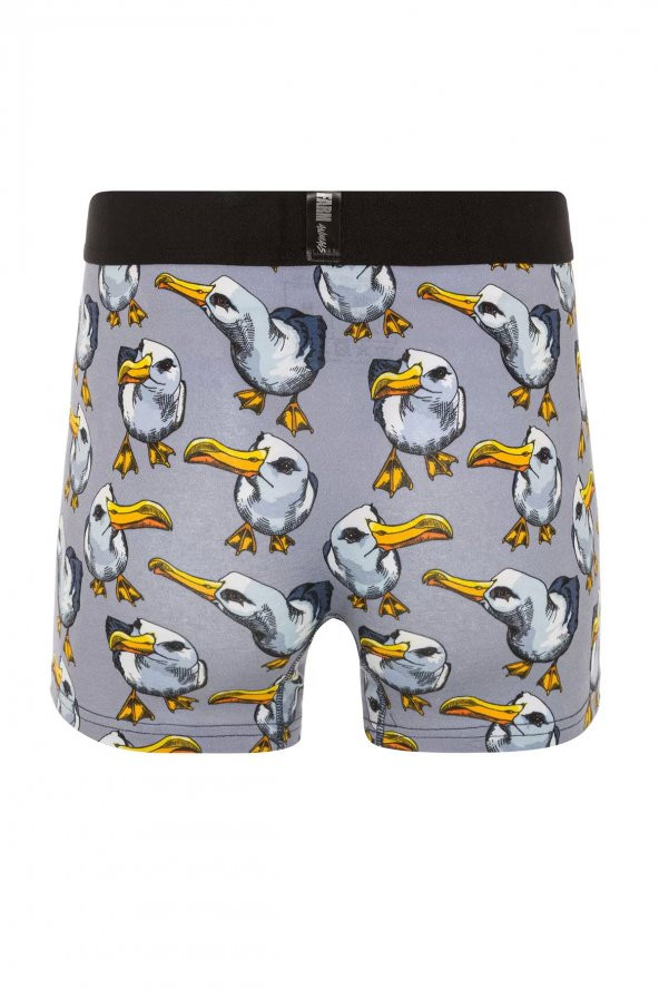 Farm Animals Seagull Desenli Boxer - Resim 2