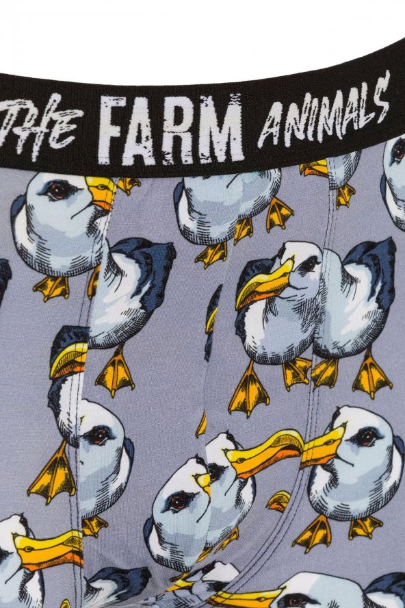 Farm Animals Seagull Desenli Boxer - Resim 3