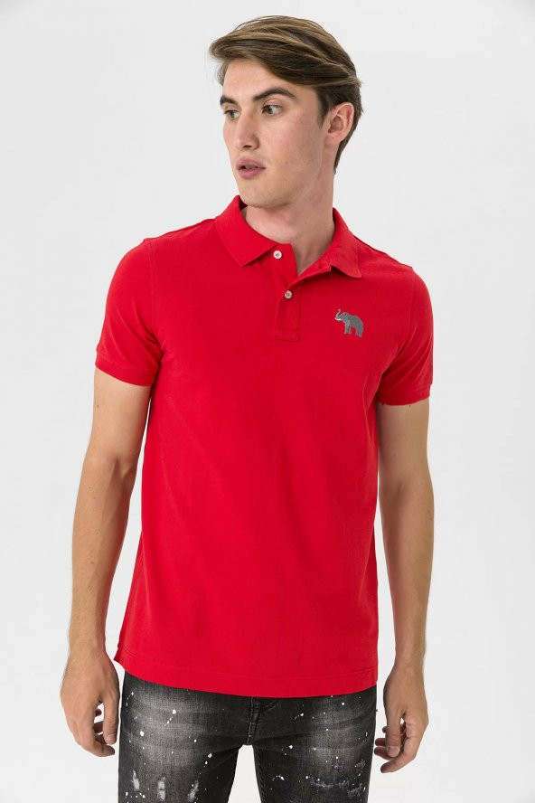 Farm Animals Polo Yaka Fil Nakış Detaylı Erkek T-Shirt ürün görseli 1