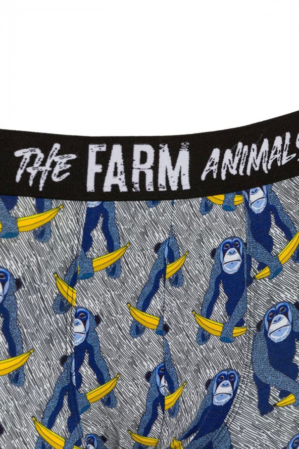 Farm Animals Monkey Banana Bue Desenli Boxer - Resim 3