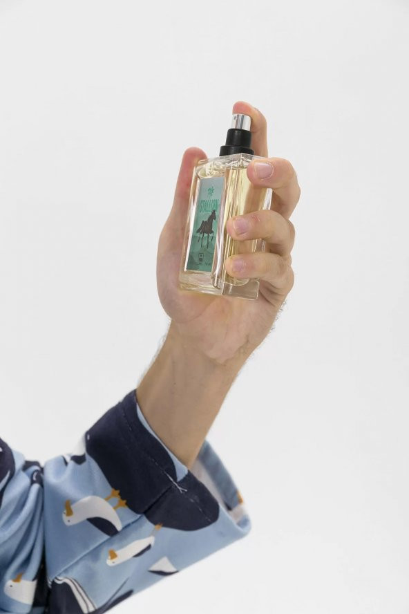 The Stallion Erkek Edt Parfüm 100 ml - Resim 8