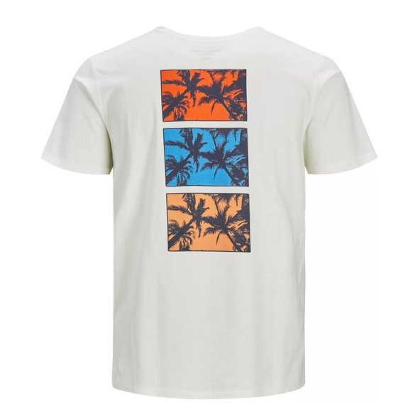 Jack&Jones Jorystays Cloud Erkek T-shirt - Resim 2