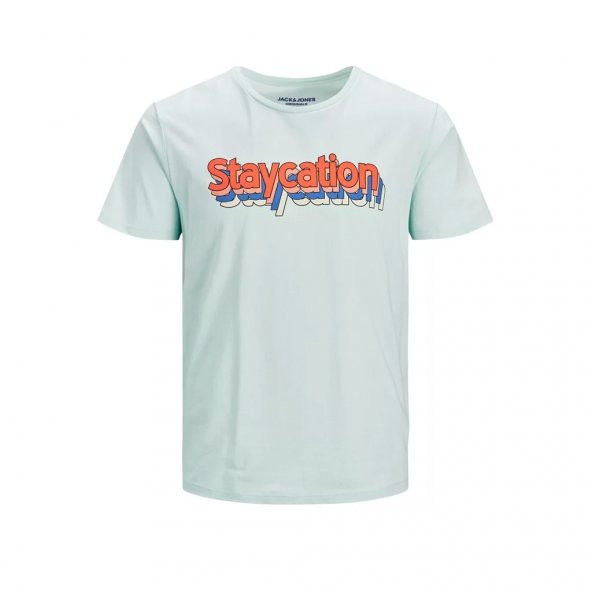 Jack&Jones Jorystays Pale Blue  Erkek T-shirt 12186206 ürün görseli 1