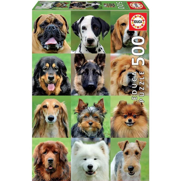 Educa 500 Parçalı Köpekler Puzzle Yapboz Dog College Köpekli Puzzle ve Yapıştırıcısı ürün görseli 1
