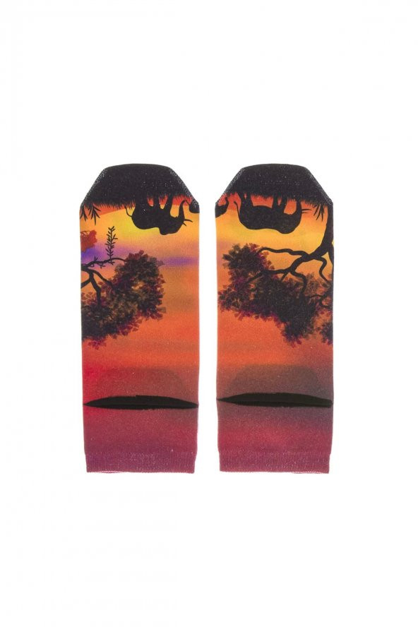 Farm Animals Sunset Desenli Soket Çorap - Resim 2