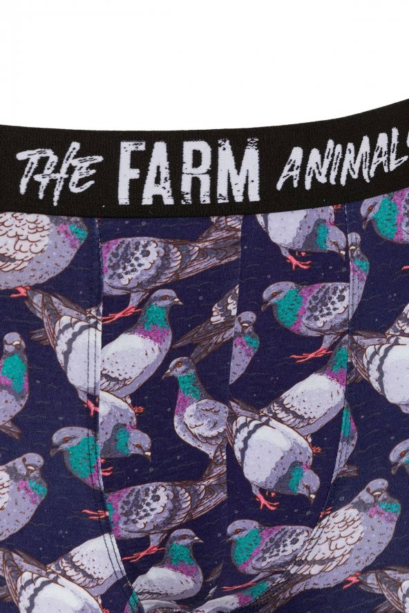 Farm Animals Pigeon Desenli Boxer - Resim 3