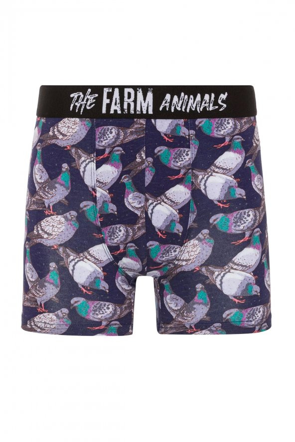 Farm Animals Pigeon Desenli Boxer ürün görseli 1