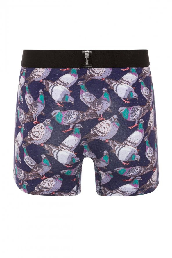 Farm Animals Pigeon Desenli Boxer - Resim 2