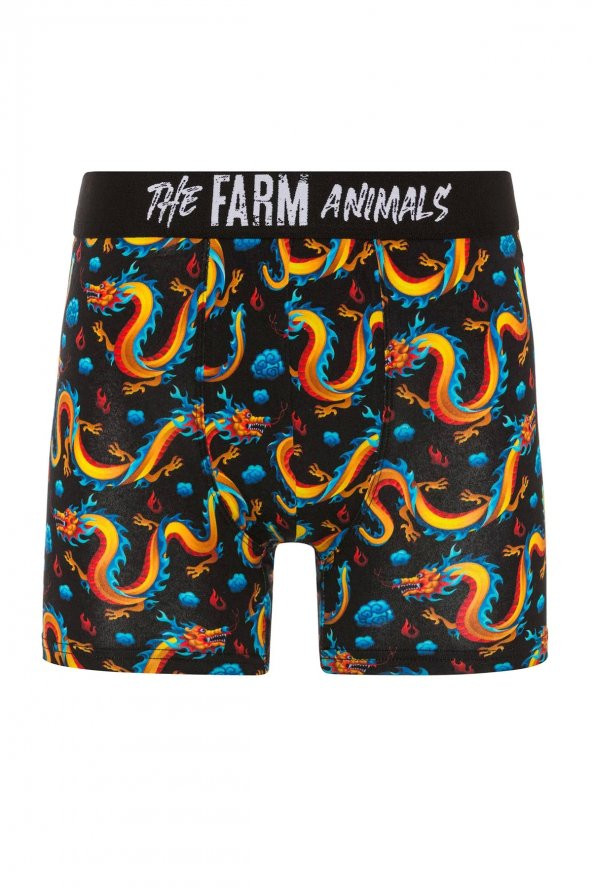 Farm Animals Dragon Desenli Boxer ürün görseli 1