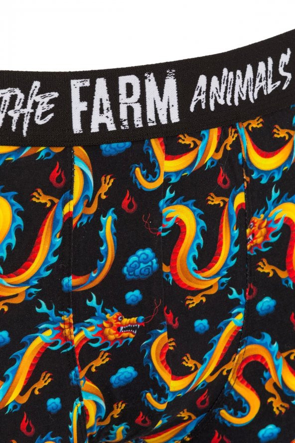 Farm Animals Dragon Desenli Boxer - Resim 3