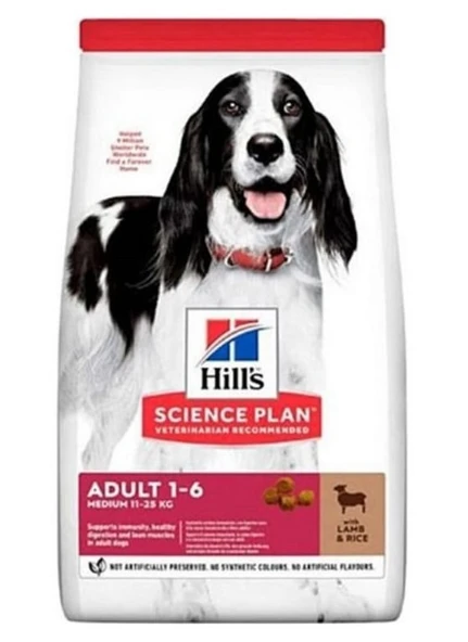 Hill's Medium Lamb Kuzu Etli Orta Irk Yetişkin Köpek Maması 1 KG Açık Mama ürün görseli 1
