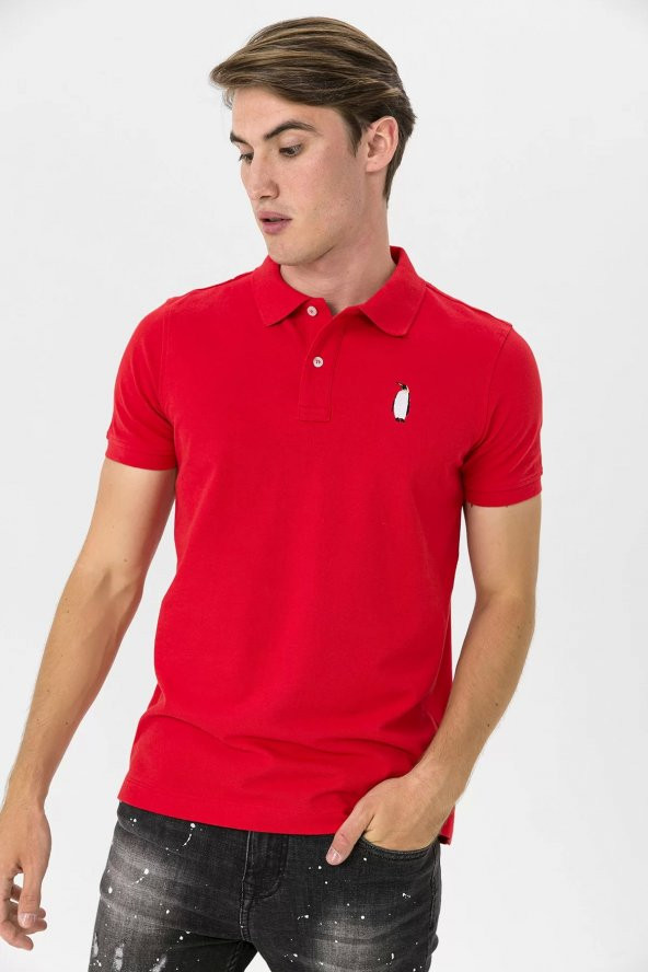Farm Animals Polo Yaka Penguen Nakış Detaylı Erkek T-shirt ürün görseli 1