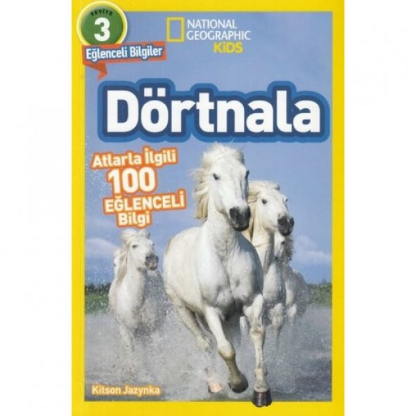DÖRTNALA ürün görseli 1