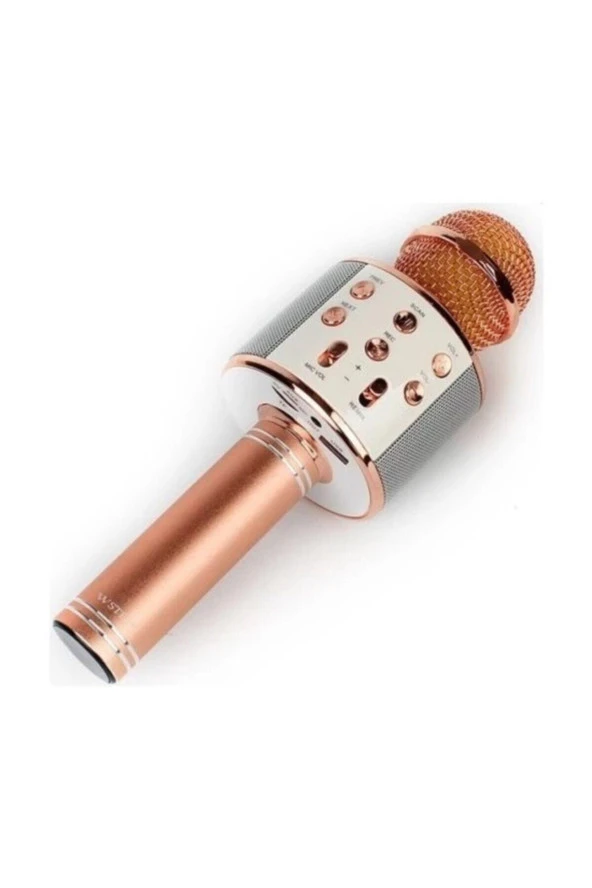 Ws-858 Karaoke Mikrofon ürün görseli 1