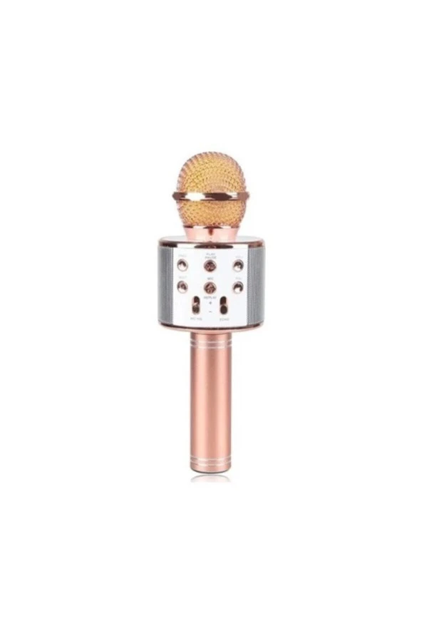 Ws-858 Karaoke Mikrofon - Resim 2