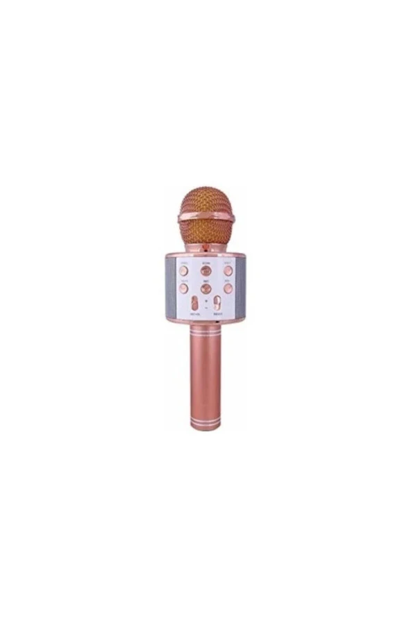 Ws-858 Karaoke Mikrofon - Resim 3