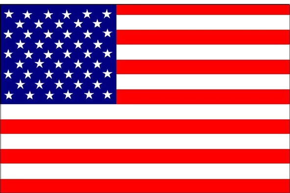 Buket Amerikan Bayrağı   30x45cm ürün görseli 1