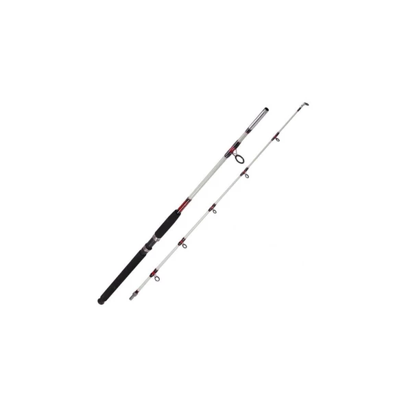 Albastar 1003 Arda Kamış 100-200gr 180cm ürün görseli 1