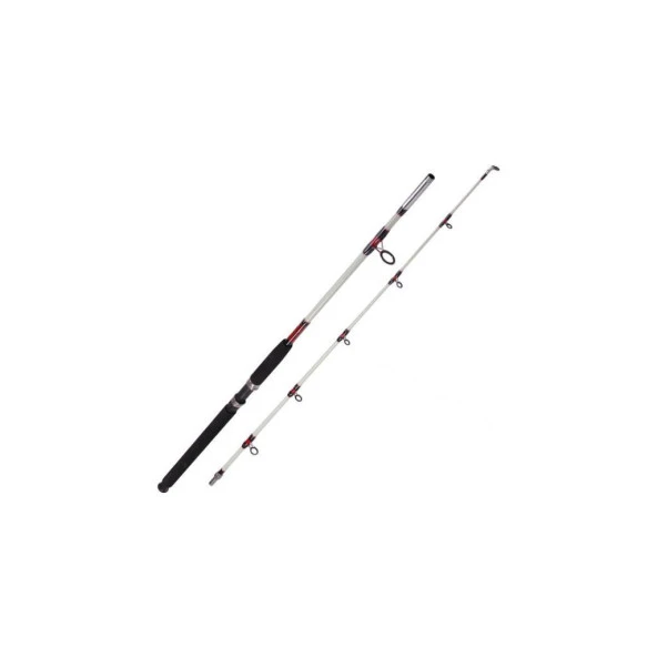 Albastar 1003 Arda Kamış 100-200gr 210cm ürün görseli 1