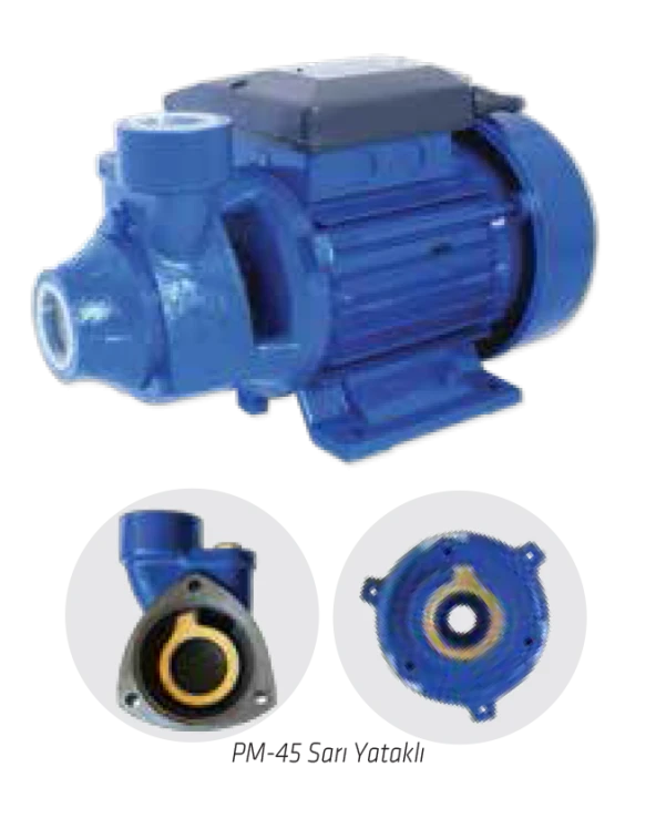 Water Sound PM50 Periferik Su Pompası 1hp ürün görseli 1