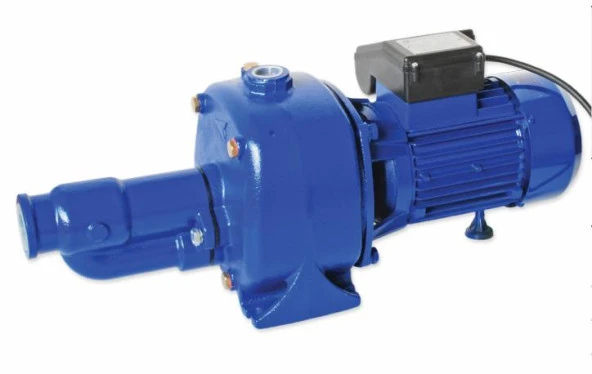 Water Sound JDP750B Çift Kademeli Jet Pompa 2hp ürün görseli 1