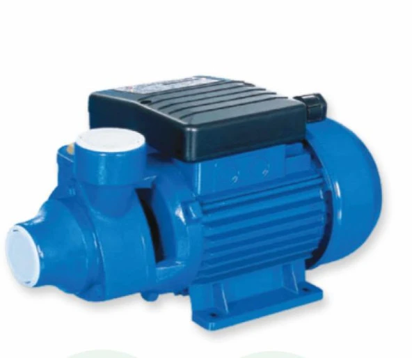Water Sound IDB-70 Krom Milli Periferik Su Pompası 1hp ürün görseli 1