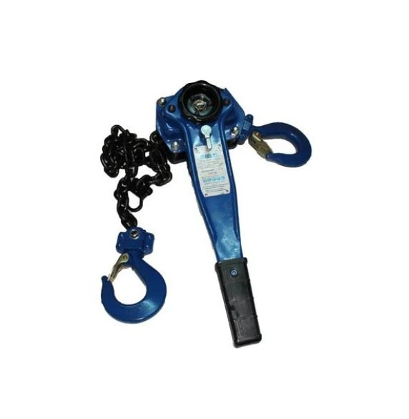 Echolift 750kg Hubzug 1.5m ürün görseli 1