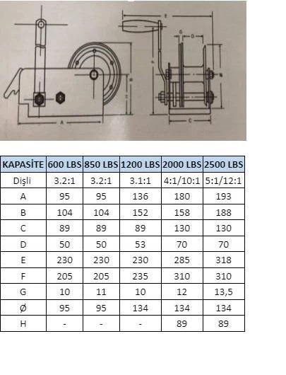 Jun Kaung Kollu El Vinci  2000Lb - Resim 2