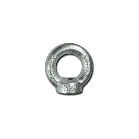 Galvaniz Dişi Aybolt  M10 ürün görseli 1