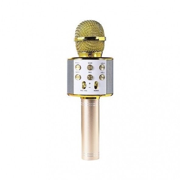 Desingshop Bt-Aux-Usb-Tf Card Destekli Karaoke Mikrofon - Gold ürün görseli 1