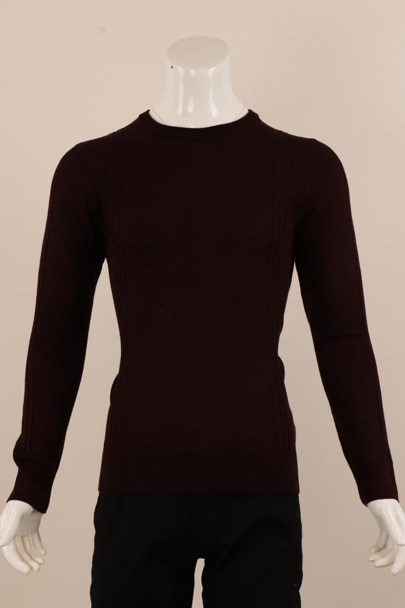 Slim Fit Yünlü Triko ürün görseli 1