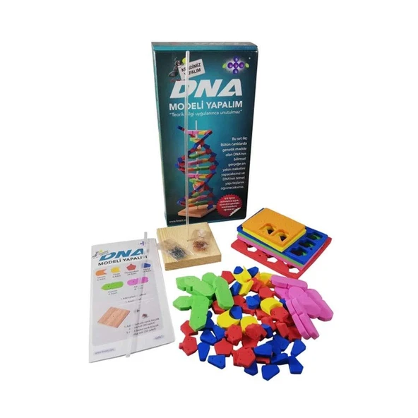 Hobi Eğitim Dünyası Fenset DNA Modeli Yapalıml Eğitici Deney Seti ürün görseli 1
