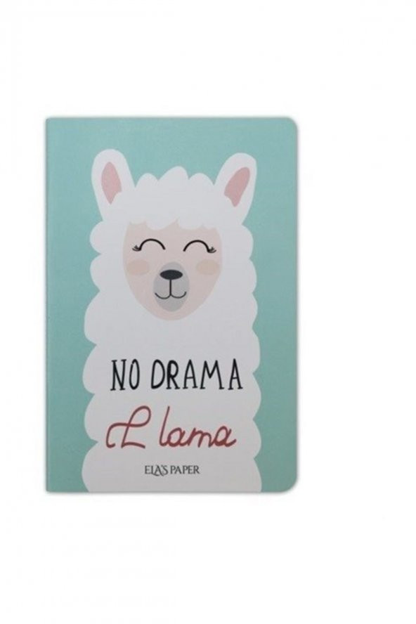 Lama Düz Twins (2 Defter Takım) - NULL ürün görseli 1