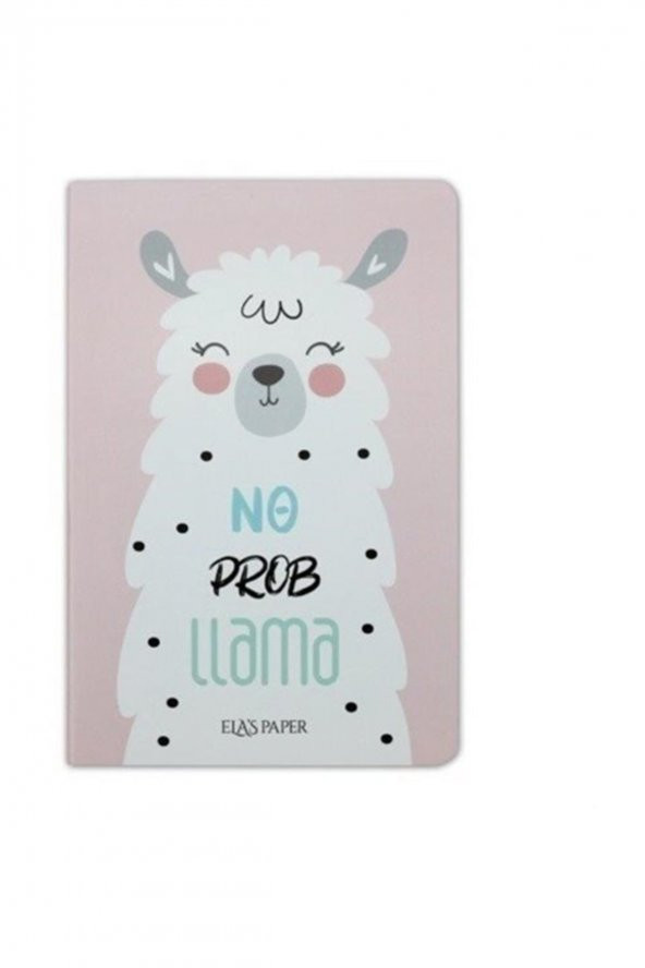 Lama Düz Twins (2 Defter Takım) - NULL - Resim 3