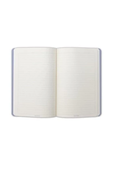 Pastel Çizgili Twins (2 Defter Takım) - NULL ürün görseli 1