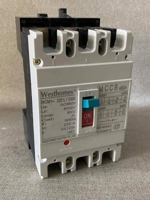 Westhomes 225A 8kV Kaçak Akım Korumalı Şalter WCM1-225L/3300 Bağlantı Aparatlı ürün görseli 1
