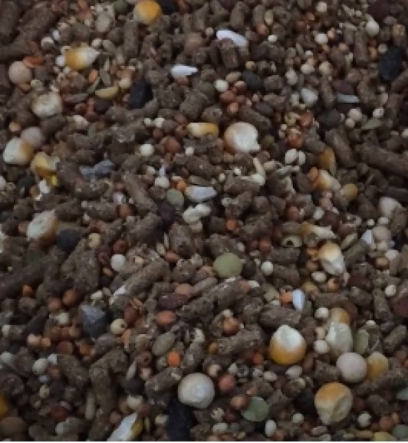 Karışık Kemirgen Yemi Hamster Ginepik Tavşan Yemi 5 Kg ürün görseli 1