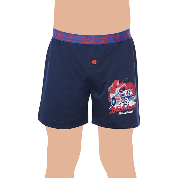 Tutku 6lı Erkek Çocuk Elastan Baskılı Boxer 0253 - Resim 2