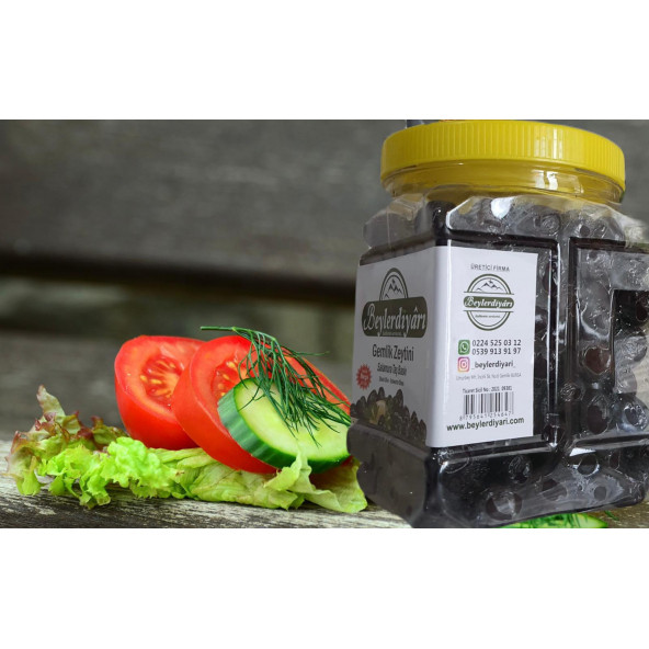 BEYLER DİYARI Gemlik Megalodon zeytin 1 kg ürün görseli 1